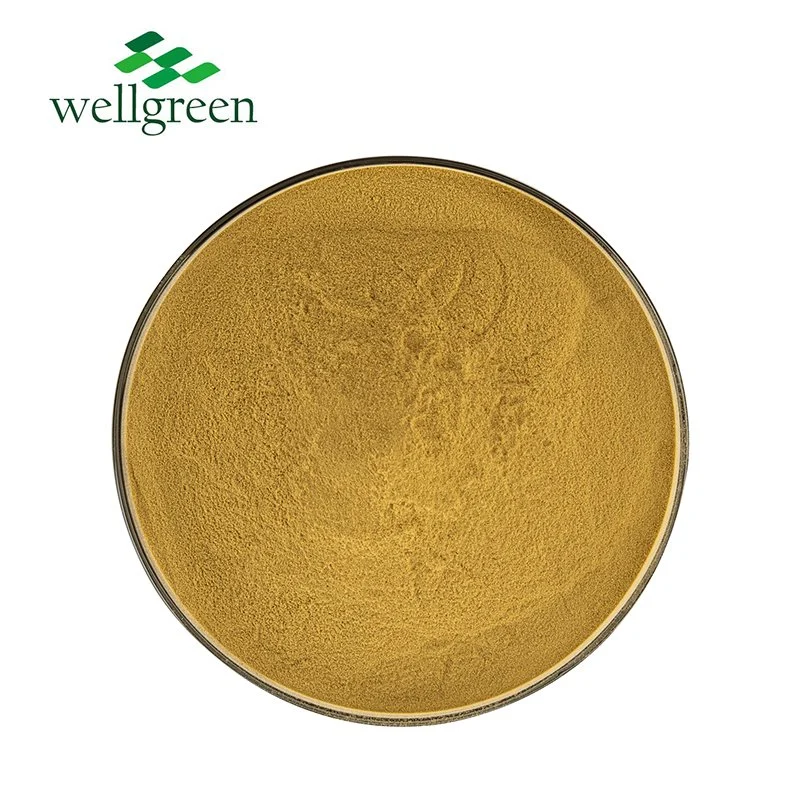 Wellgreen Natural 98% CAS 491-70-3 Sophora Japonica Extract Water Soluble Luteolin Powder