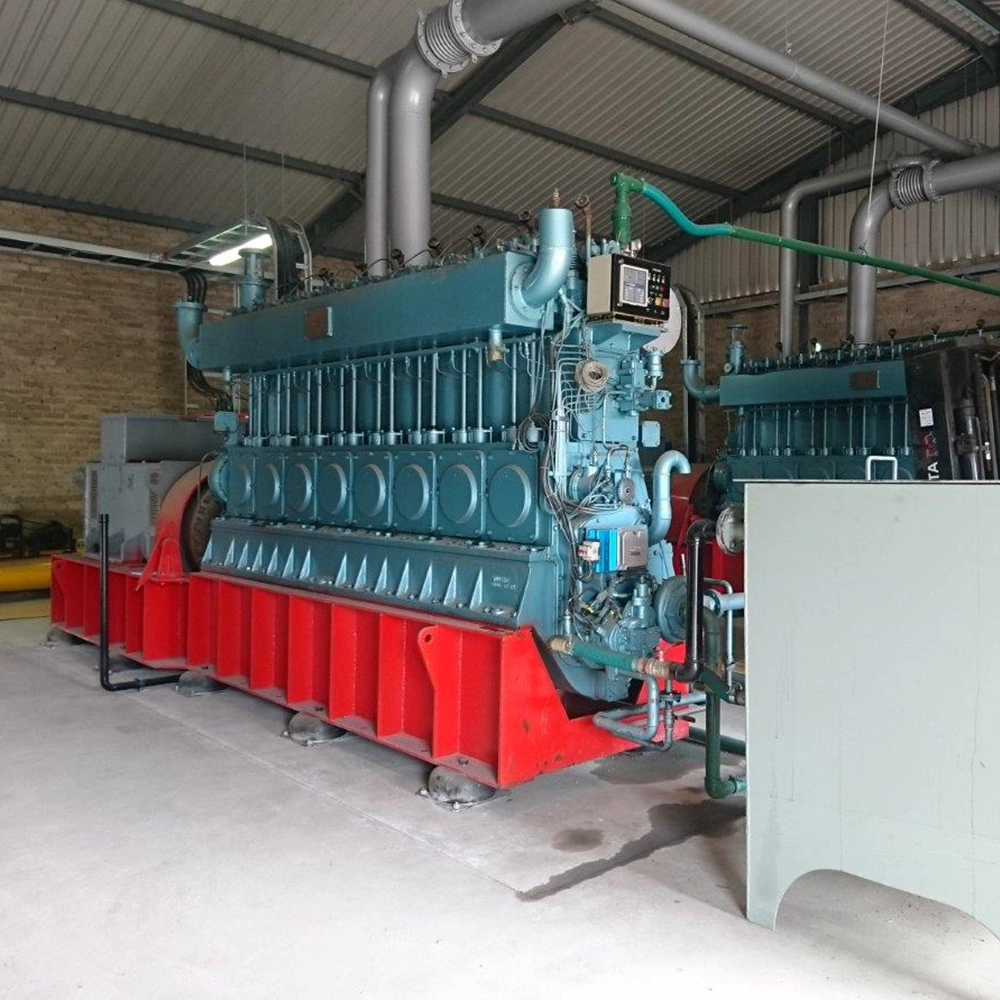 800kw Gas Engine Various Models Wood Power Natural Gas Generator Set