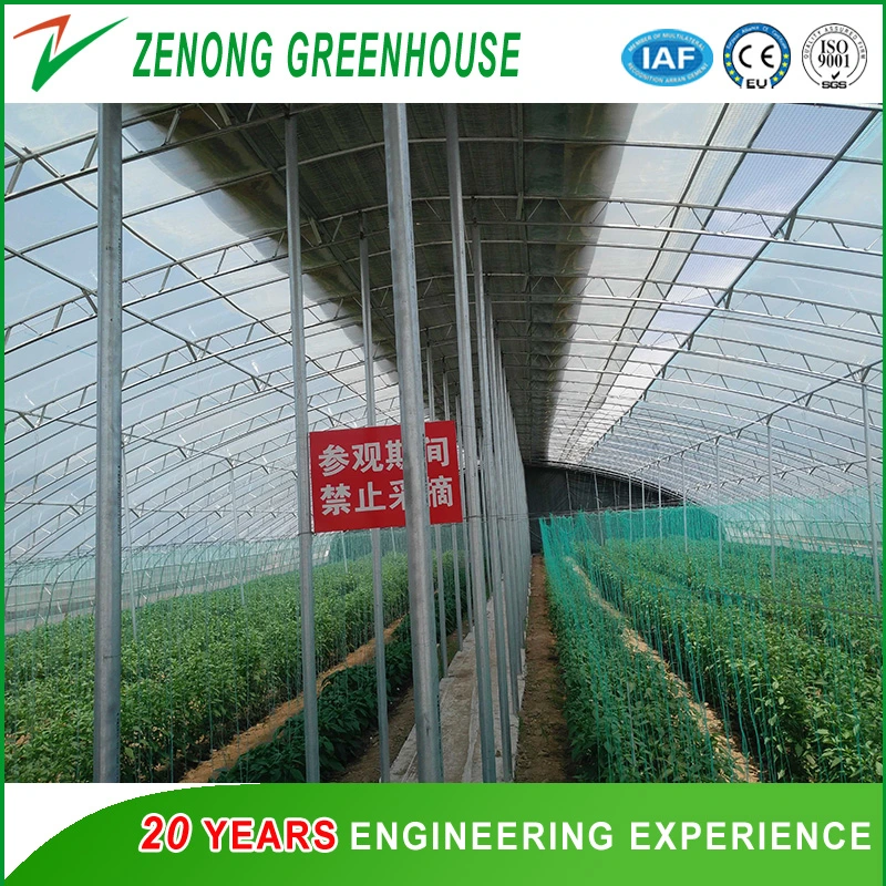 Prefabricated Low Cost Plastic Film Covered Sunlight Greenhouse for Tomato/Cucumber/Egg Plant