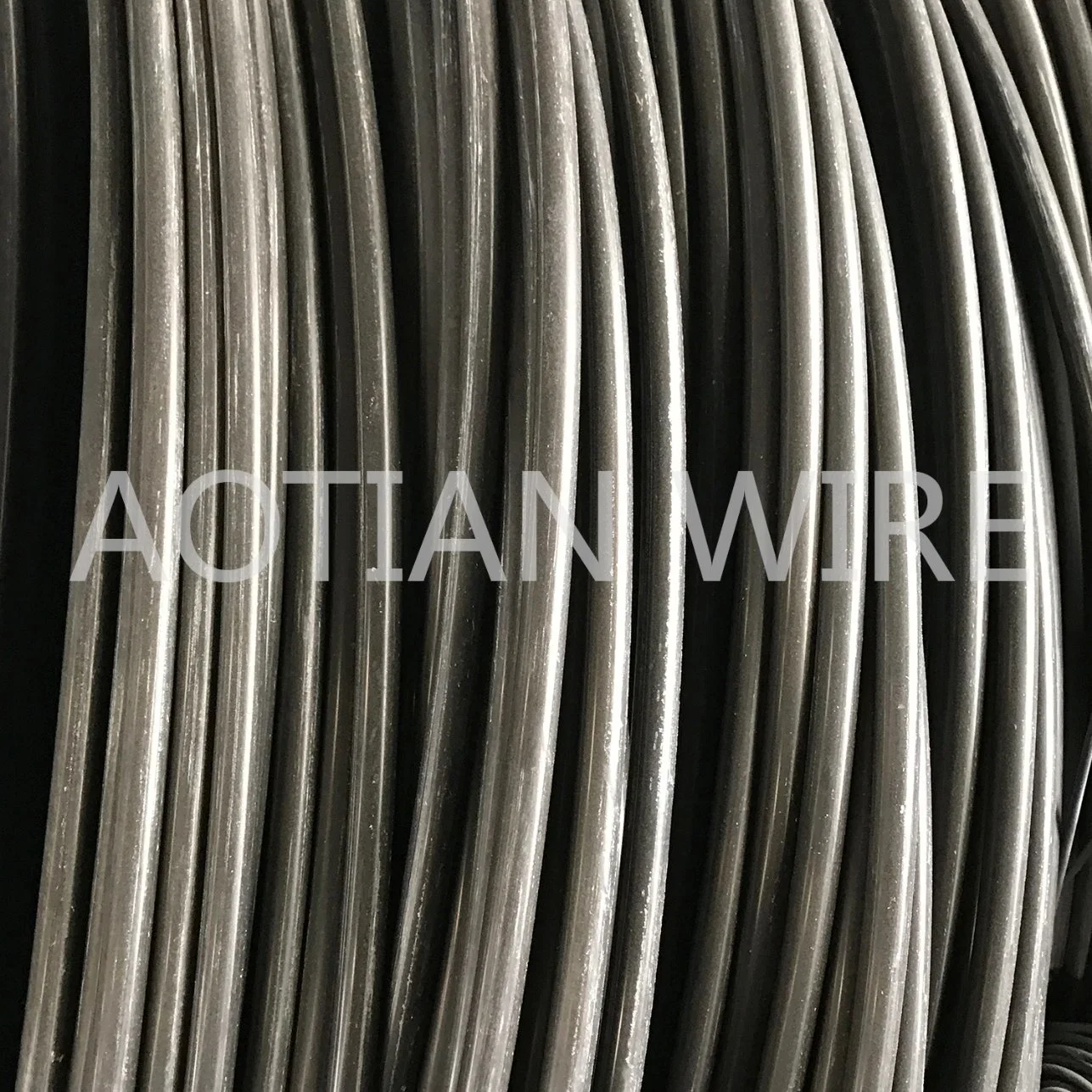 Cold Drawn Boron Steel Drawn Wire Rod 10b21 Phosphate Coated Cold Forging Fastener Steel Wire