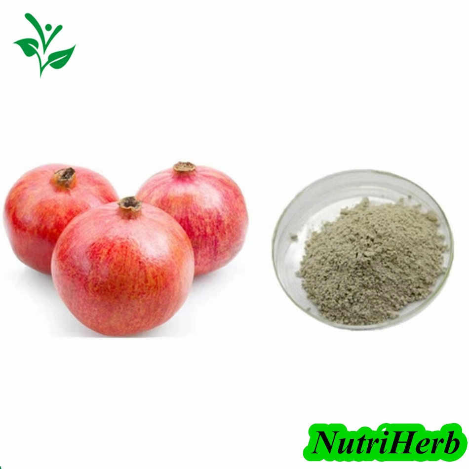Bulk Supply Ellagic Acid 40% 90% Pomegranate Fruit Extract Powder