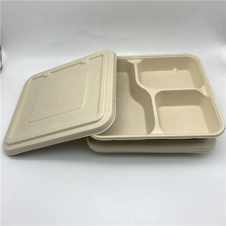 Tableware Set 3 Compartments Bagasse Food Tray with Lid