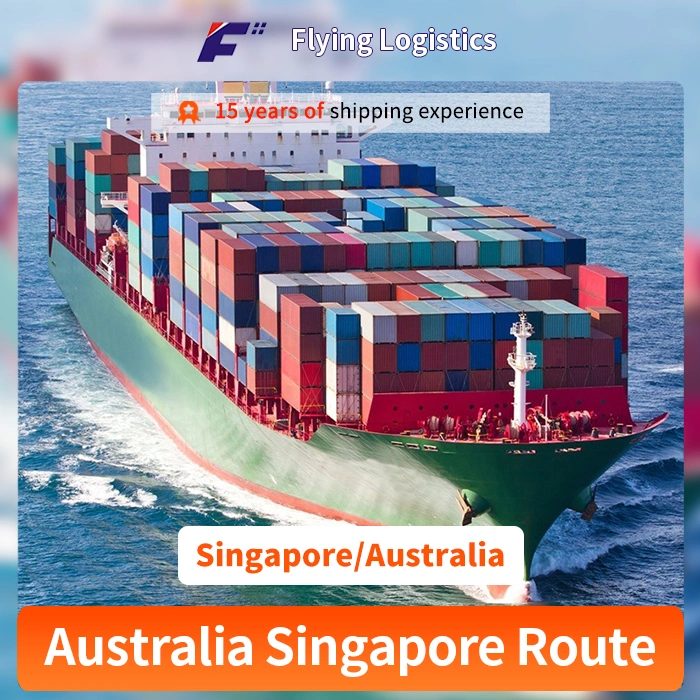El agente del servicio de envío desde China a Singapur y Australia fletes marítimos