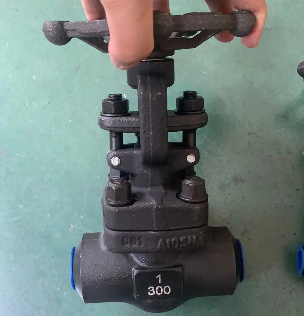 Socket Welded End Forged DN25 A105 Sw Type Forged Cl300 Gate Valve