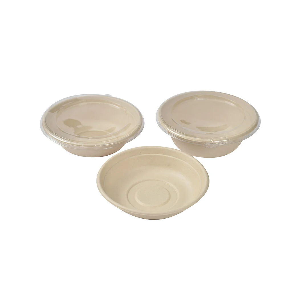 Compostable Food Pulp Tableware Takeaway Paper Salad Bowl Boxes