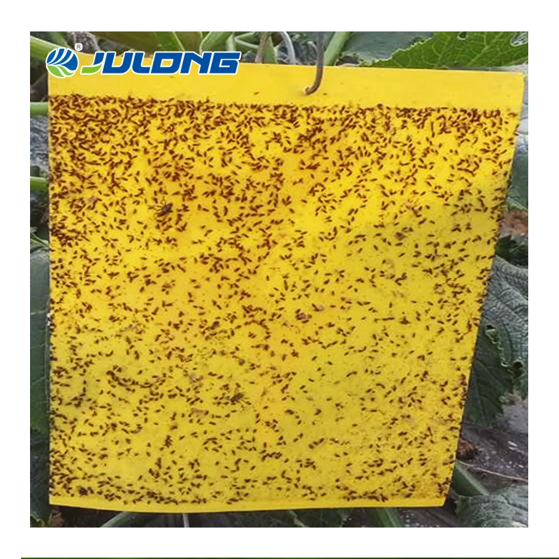 Eco-Friendly Pest Control Flies Killer Strong Glue Traps Sticky Insect Board