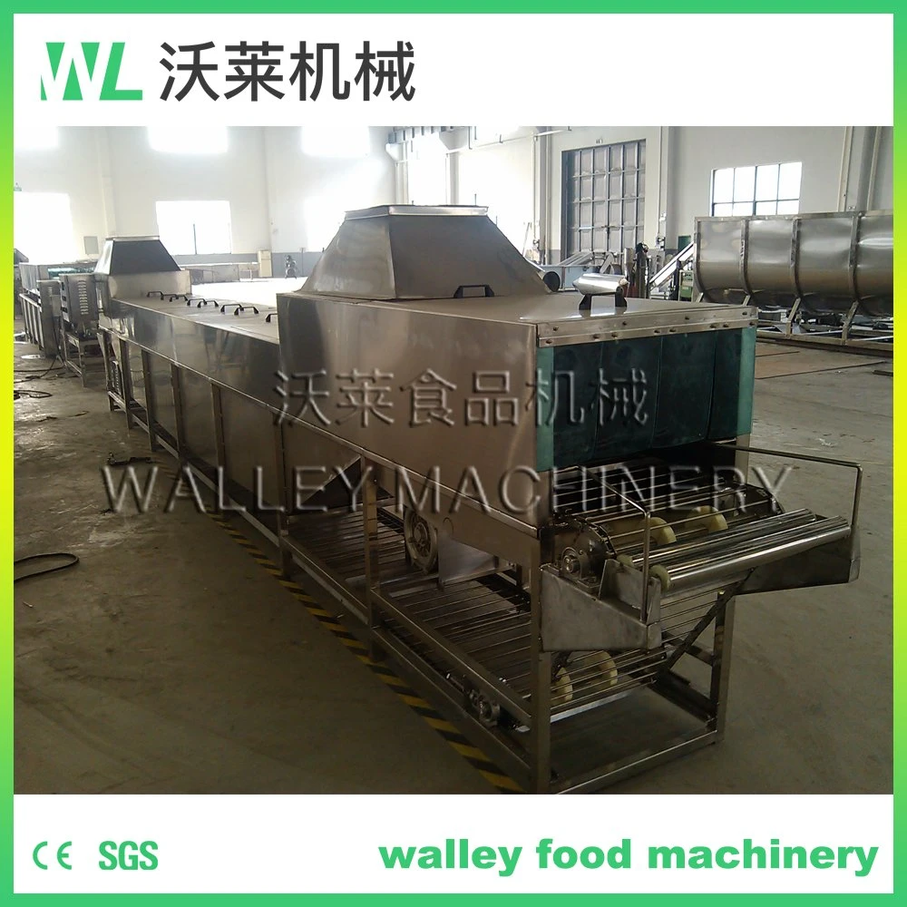 Industrial Aloe Ice Water Cooling Machine Asparagus Chiller