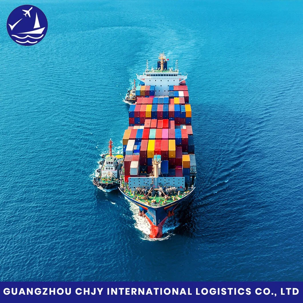 FCL/LCL DDU Transporte Logística Transporte marítimo Forwarder con el Precio más bajo Y el mejor servicio de China a América/Canadá