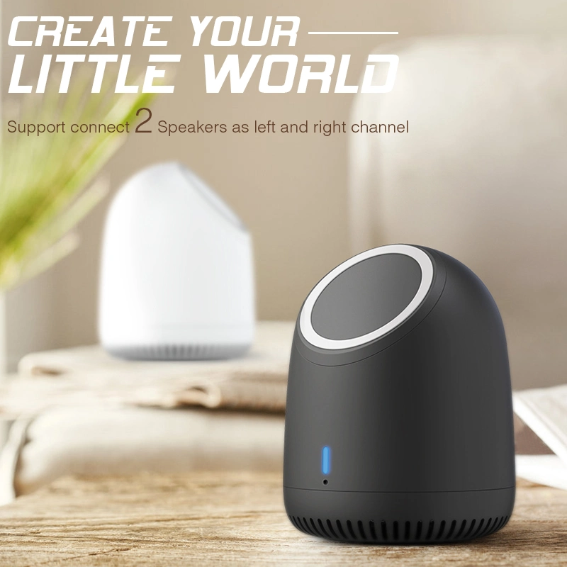 Produtos Mais Vendidos 2022 nos EUA Amazon Qi Magsafe Carregador sem fio portátil de alto-falante Bluetooth