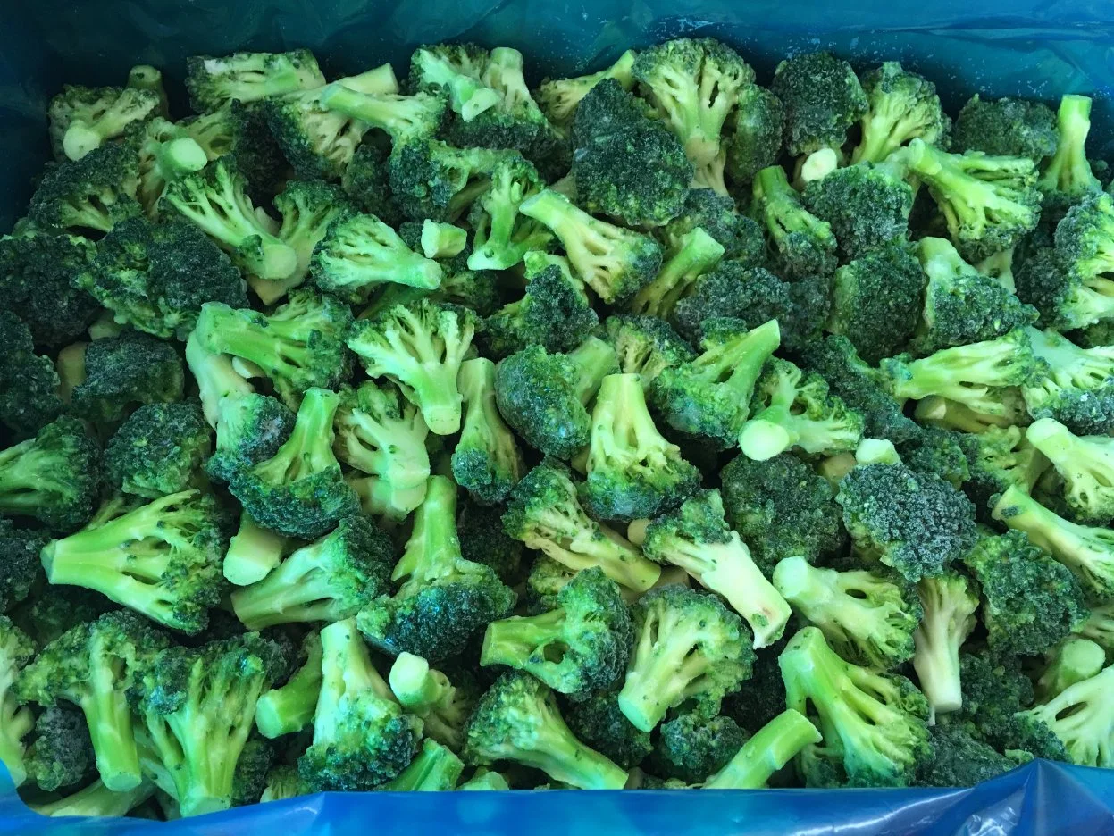 Winter Crop No Worm Factory Price 4-6cm IQF Frozen Broccoli