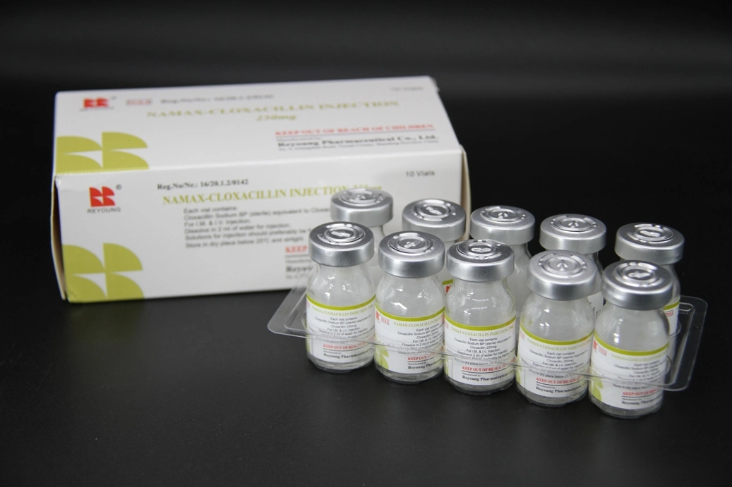 GMP Certified Cloxacillin Sodium for Injection 0.5g