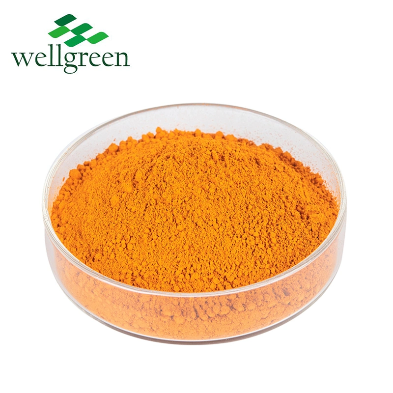 Wellgreen Futterqualität Ringelblume Extrakt Tier Natürliche Futtermittel Pigment Zusatzstoffe 2 % Orange Lutein Pulver