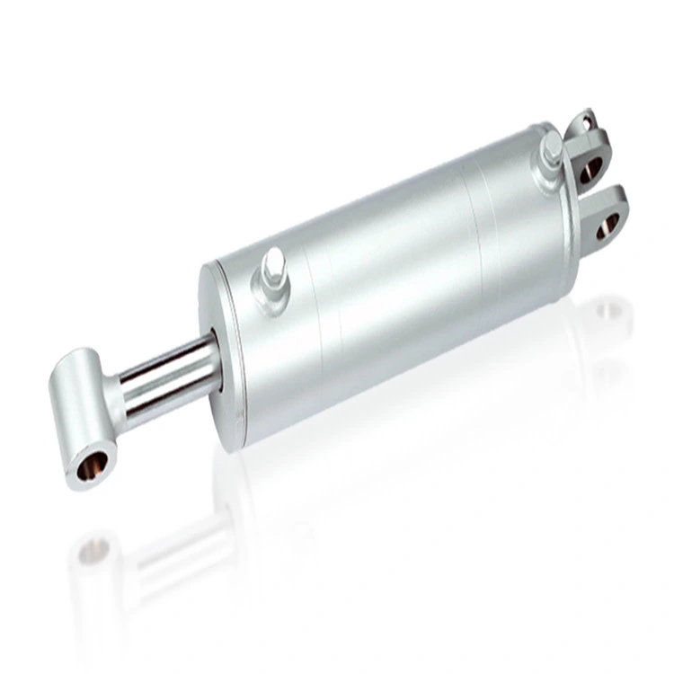 Factory Double Acting Stainless Steel Cylinder for Marine Boat