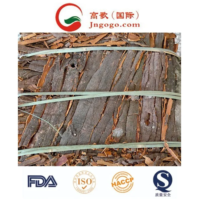 High-Quality Chinese Cassia - Long-Lasting Shelf Life