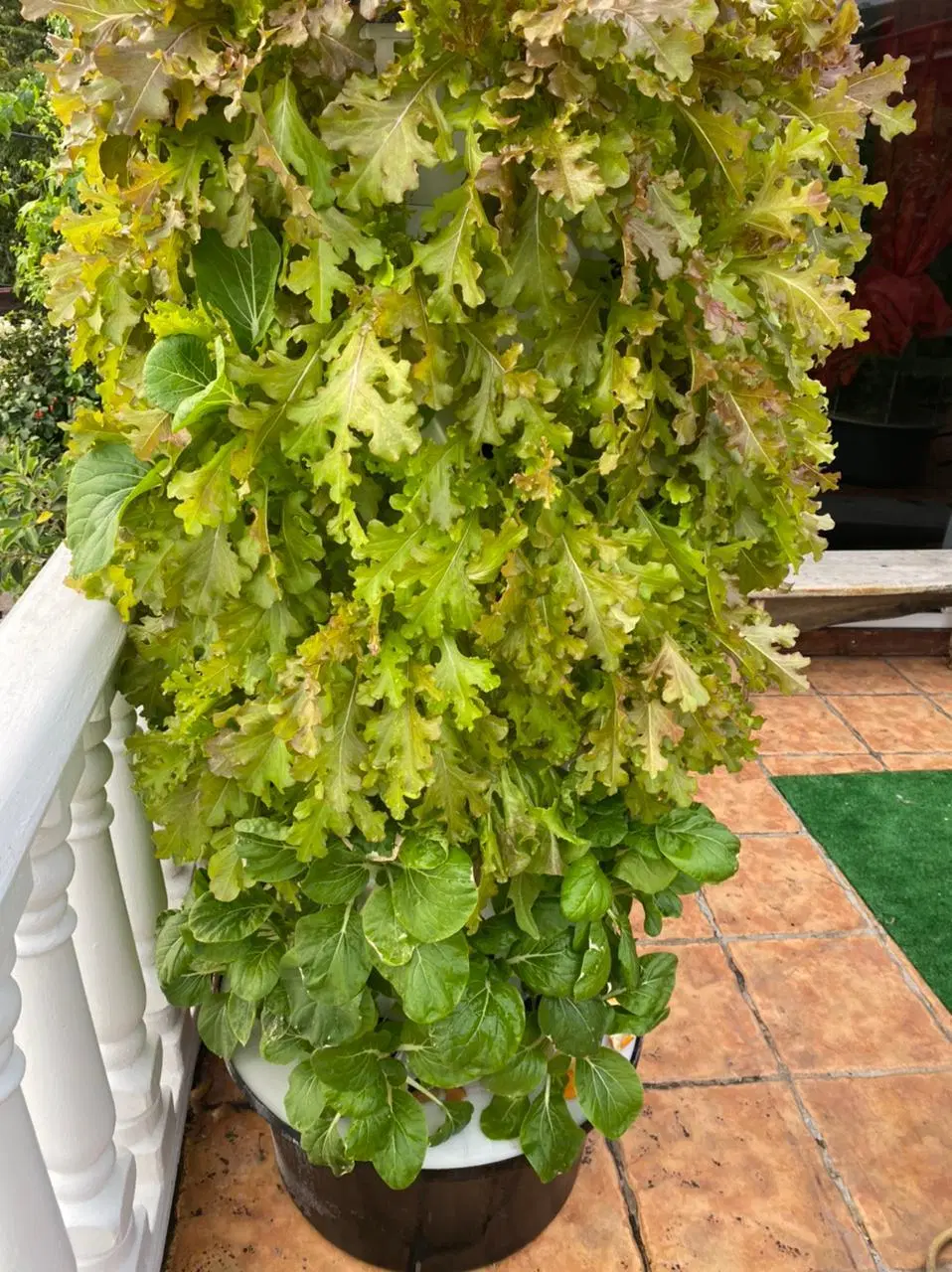 Fuentes de la torre de planta hidropónica Vertical Jardín agrícola para el hogar