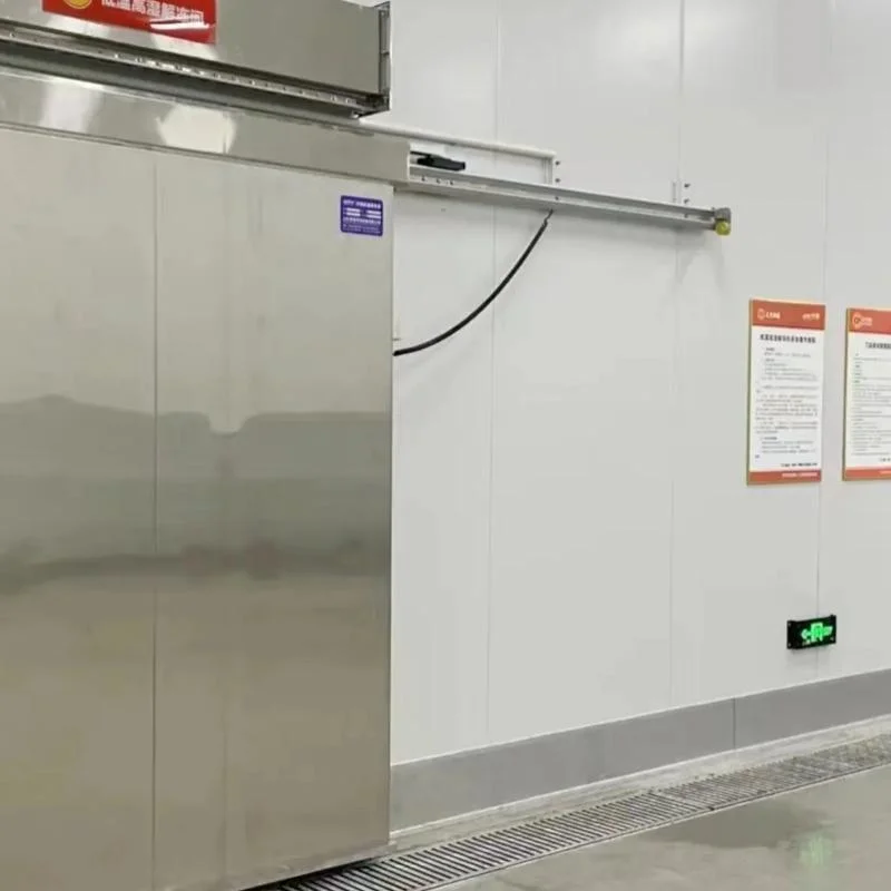 Professional Custom Cold Room Automatic or Manual Stainless Steel Cold Storage Cold Room Sliding Door