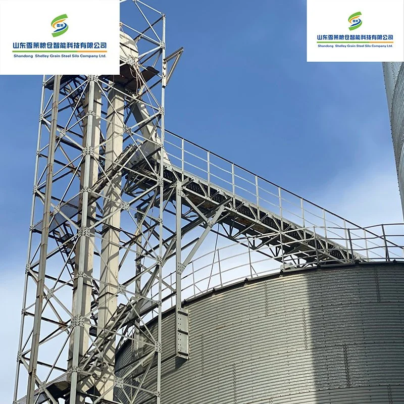 Pequeño elevador de cangilones de tolva de la máquina para el transporte de grano