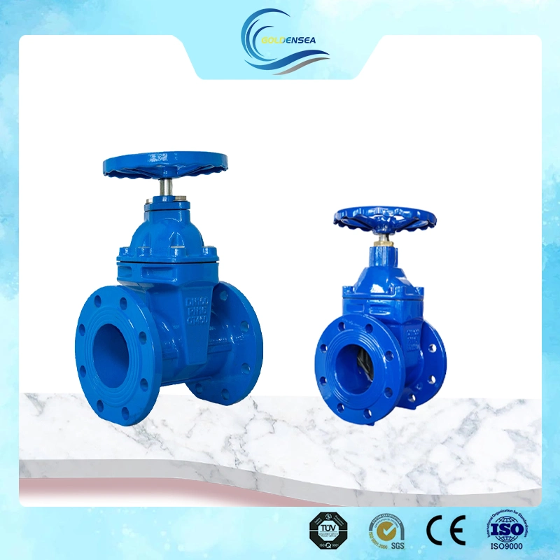 High Performance Vale Pn10 Pn16 Looks Good Flanged Gate Valve for Water