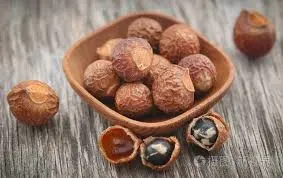 Extracto de plantas de fabricación de 40%-70%saponinas Sapindus mukorossi Soapnut extracto en polvo 20: 1soapnut extraer