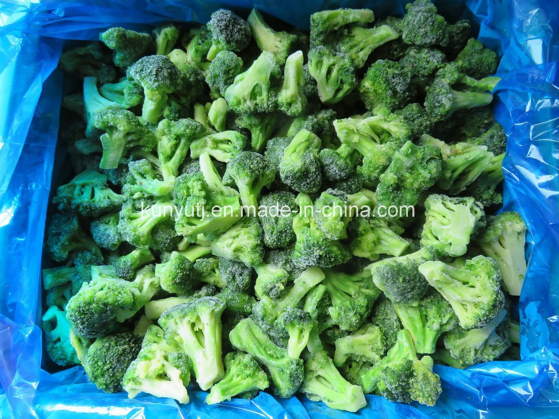 Frozen Broccoli with High quality/High cost performance 