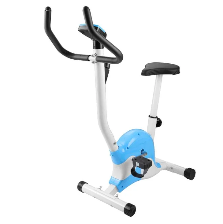 Gym Magnetic Household Spin Resistance Exercise Bicycle Training Fitness Spinning Bike