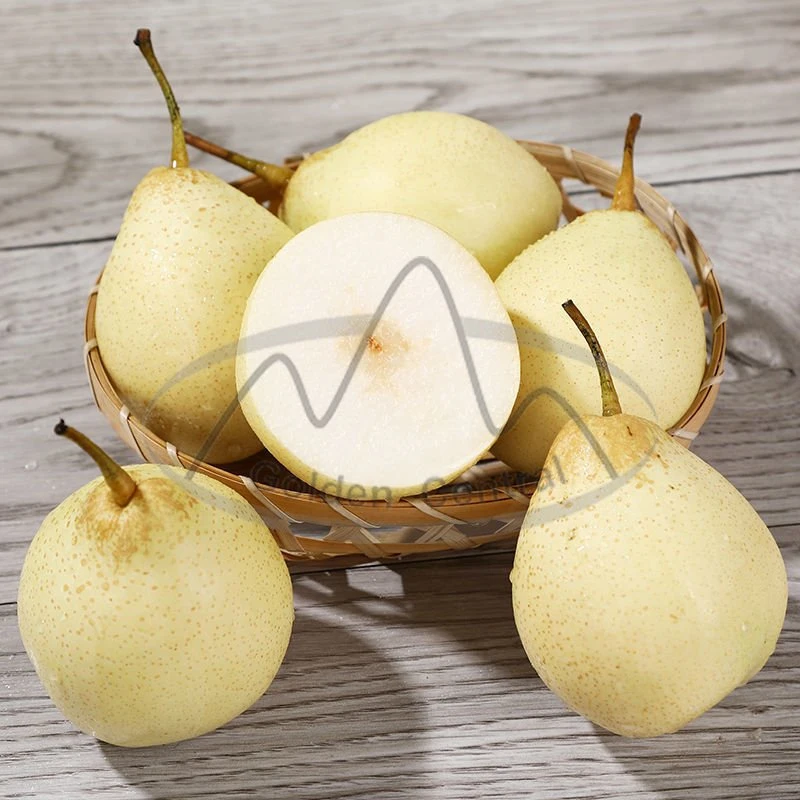 New Season High quality/High cost performance  Fresh Ya Pears with Factory Price