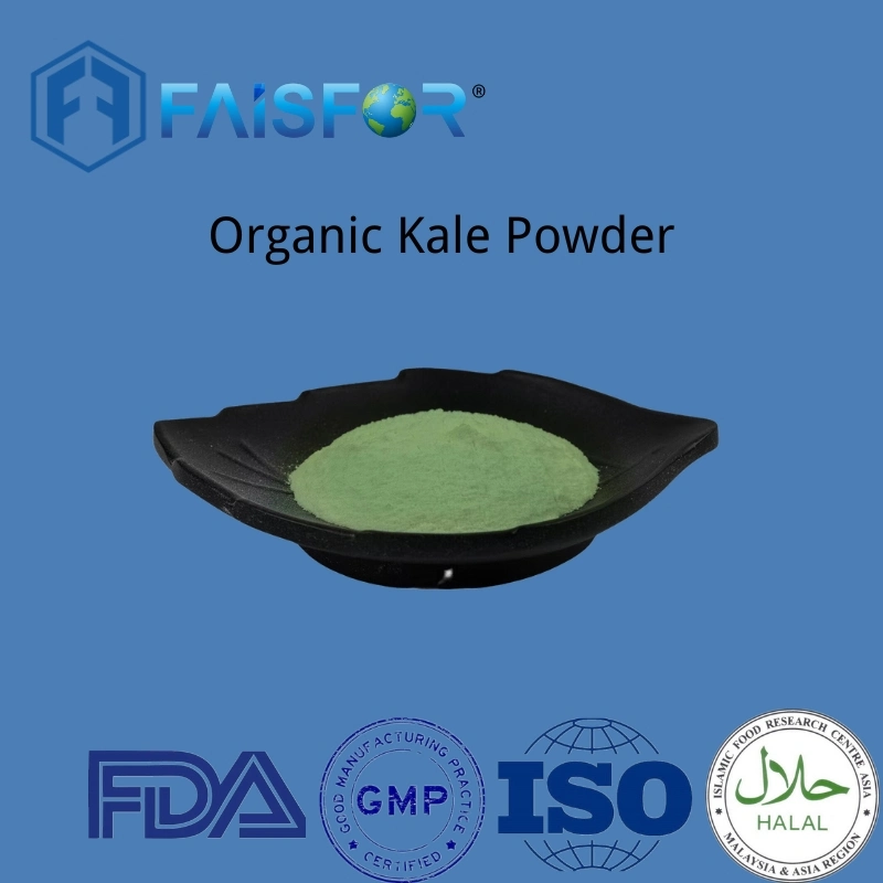 Hot Selling Natural Vegetable Powder Bulk Organic Kale Powder with Private Label