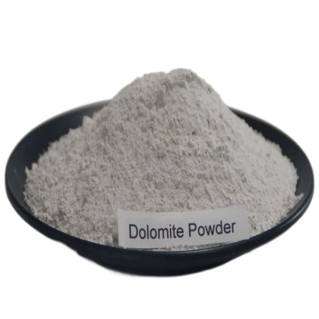 Fabrication&amp;exportateur de la Dolomite poudre pour l'industrie céramique