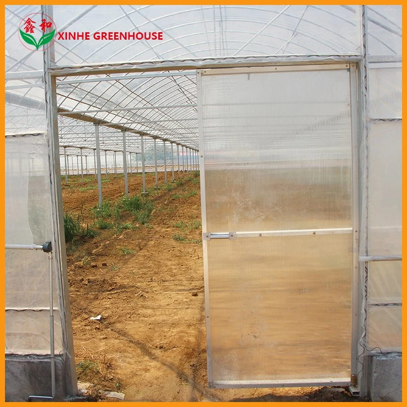 Customized Size 275g Galvanized Steel Plastic Film Covering Greenhouse with Farm Irrigation System for Planting/Vegatables/Fruit/Tomato/Cucumber/Lettuce/Pepper