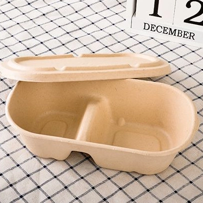 Food Grade Rectangular Bagasse Food Container Disposable Takeaway Packaging Box Fast Food Box Fruit Snack Lunch Box