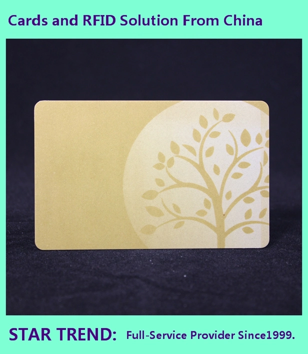 Customized Plastic Smart RFID Card Used as Membership Card, Business Card, VIP Card, Game Card, Gift Card, Plastic Smart RFID Card, NFC Card, RFID Tag