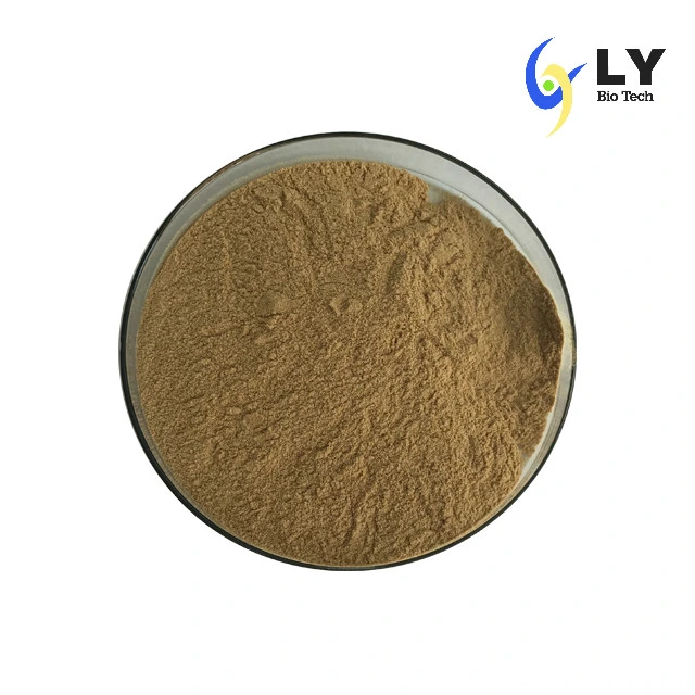 Olive Leaf Extract Powder Oleuropein & Hydroxytyrosol 10597-60-1