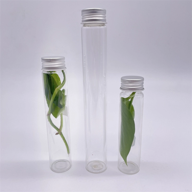 Glass Test Tubes with Lids Glass Tubes with Cork Wholesale/Supplier