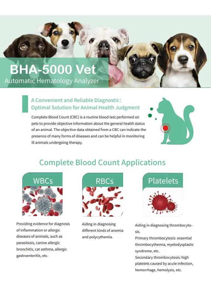 BHA-5000 Vet voll Auto 5-Teil-Diff Hämatologie Analysator Maschine mit Compact Design