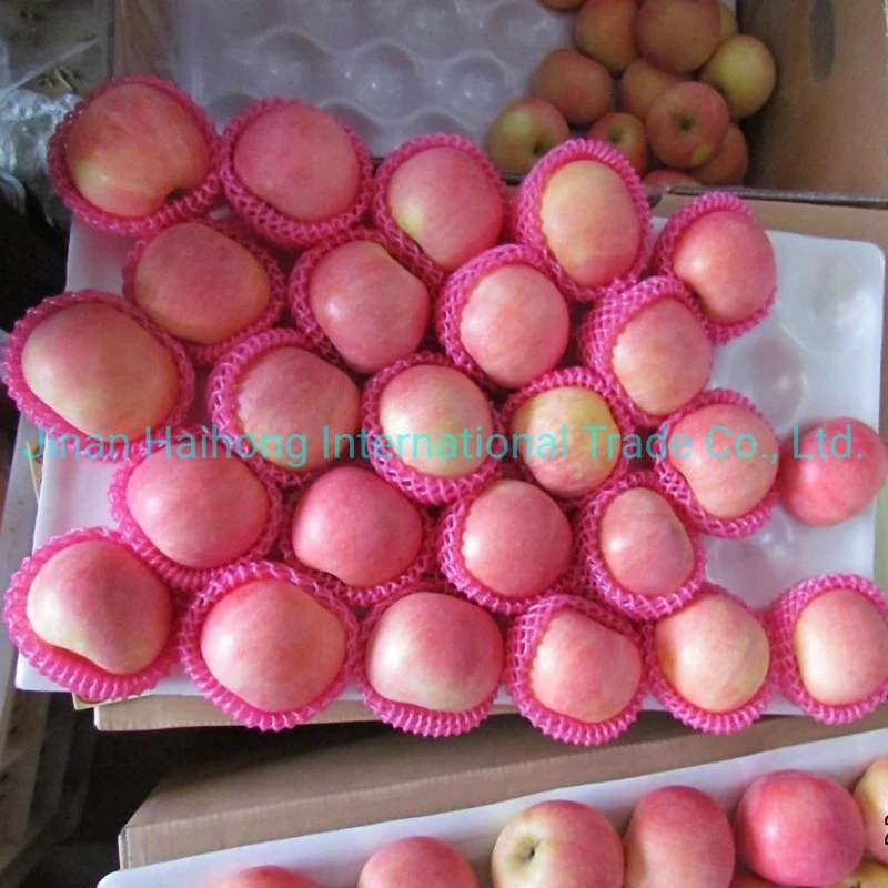 Chinese Fruit Good Quality Wholesale Fresh FUJI Apple