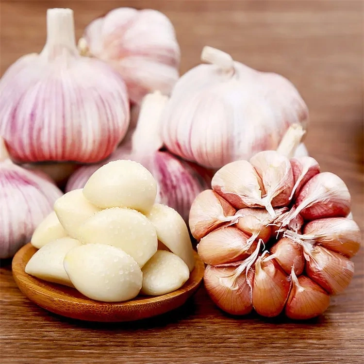 Indonesia High quality/High cost performance Wholesale/Supplier Fresh Normal White Garlic