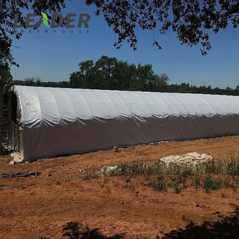 HDPE Black and White Panda Film for Blackout Greenhouse