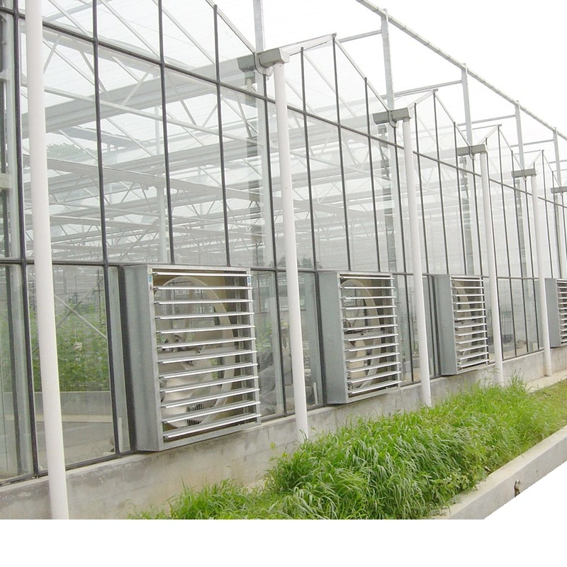 Vegetables Hydroponic Systems Equipment Multi-Span Glass Greenhouse