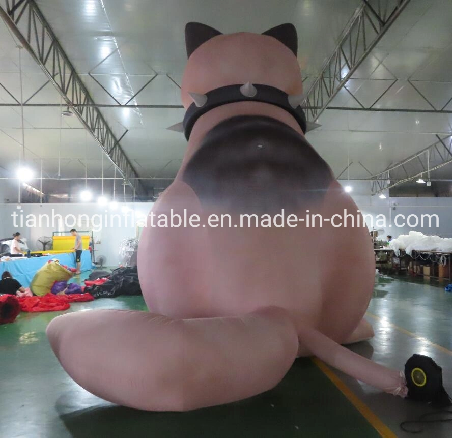 5m 17FT Outdoor Inflatable Products Advertising Cat
