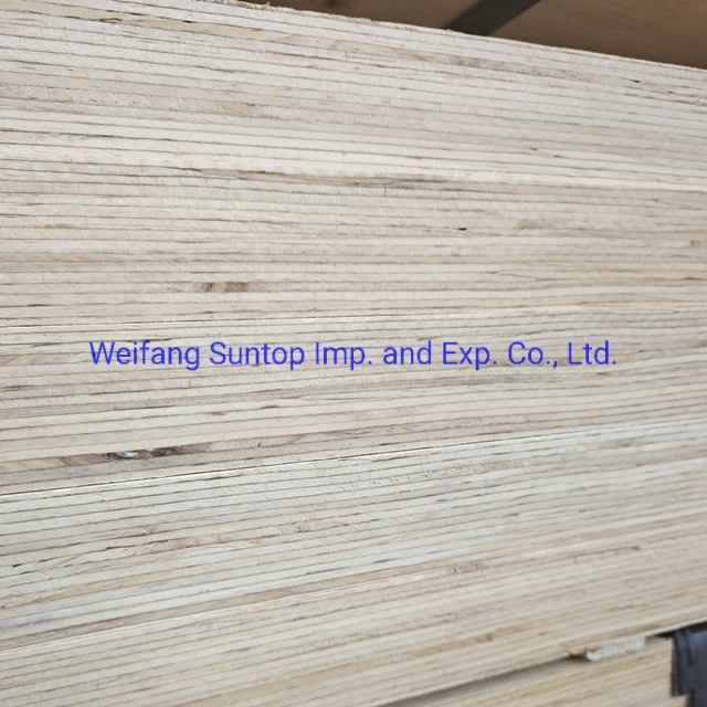 Melamine WBP Phenolic Glue Radiata Pine LVL for Furniture Construction Pallet Usage