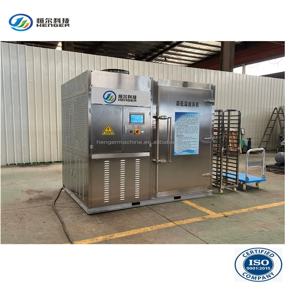 Quick Freezer Machine of Quick Freezer Machine for Food Commercial Industry