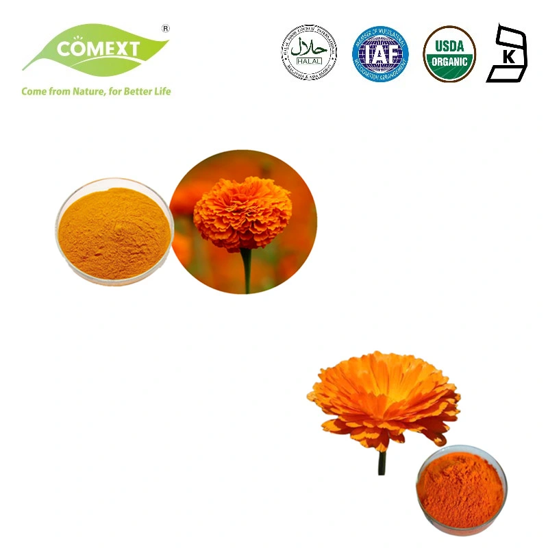 Comext Factory Price Promotion Herbal Extract Food Grade Zeaxanthin Water Soluble Lutein 5%-80% Phytoxanthin Extract Marigold Extract