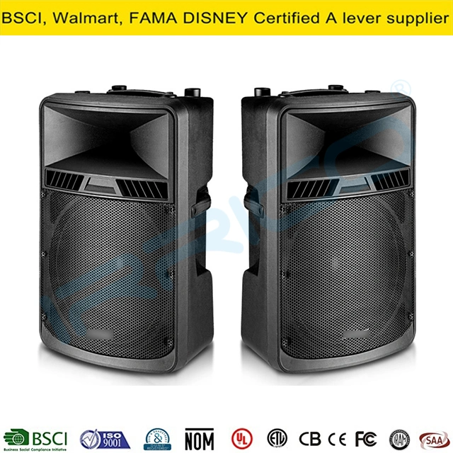 Tws 5 Band EQ Active Black Color 18inch Loudspeaker