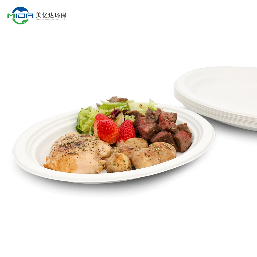 Customized Biodegradable Eco-Friendly Compostable Microwavable Waterproof Oval 10 12.5 Inch Bagasse Plates for Dinner/Cake/Fruit/Lunch