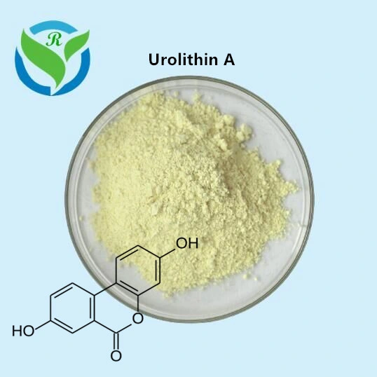 98% Raw Powder Urolithin a 1143-70-0