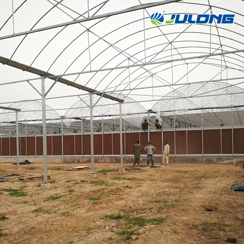 China invernaderos hidropónicos sistema vertical de la agricultura creciente para los tomates, pepinos de fresa