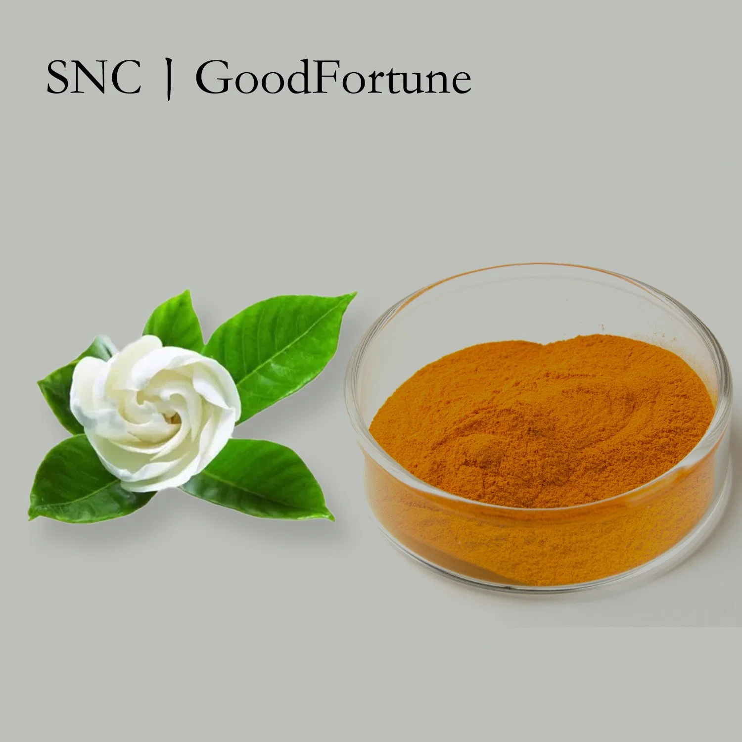 Fast Delivery Natural Colorants CAS. 94238-00-3 Powder Gardenia Yellow