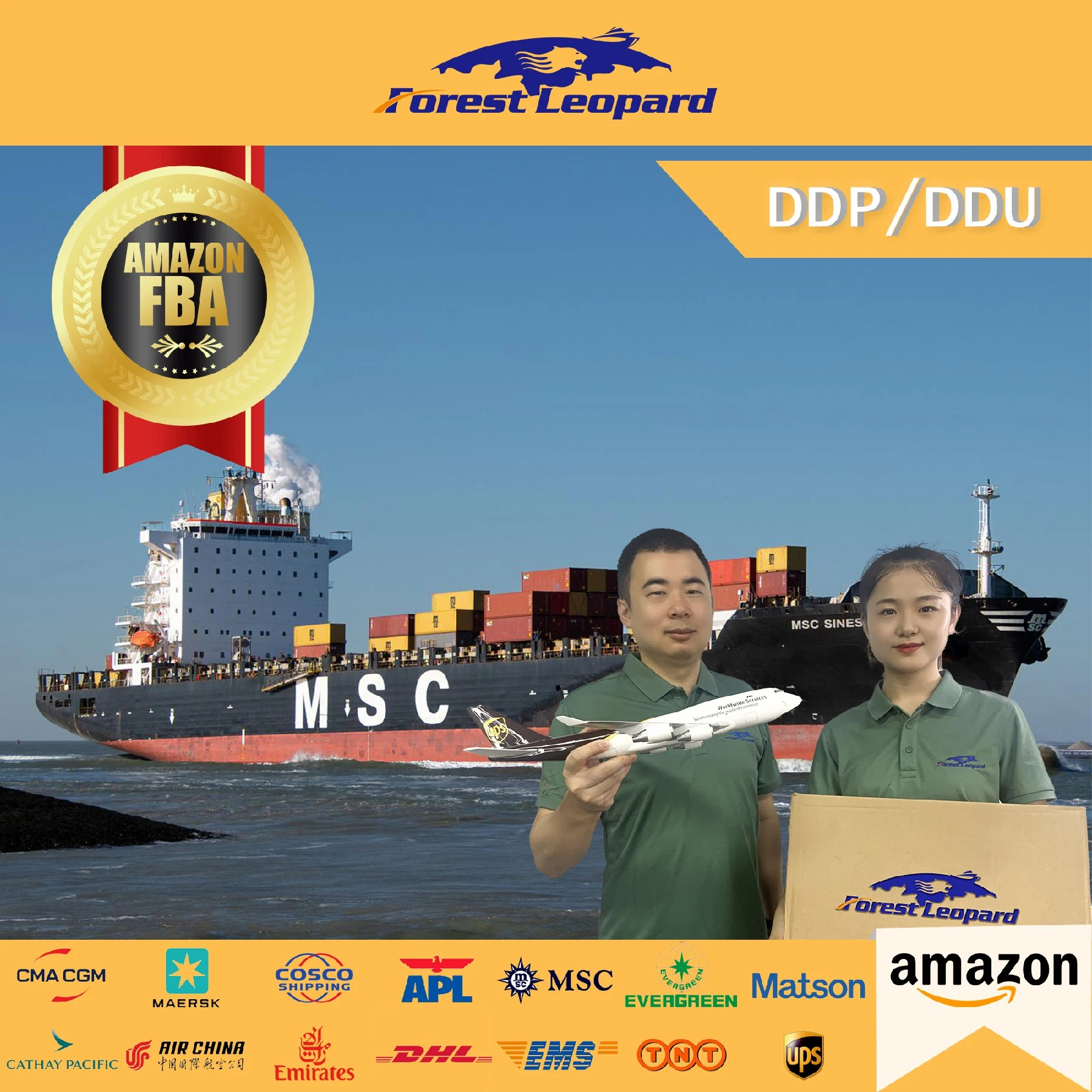 Expedição de cargas profissionais para o Mar de Despachante Zhongshan para a Alemanha UE DDP LCL Amazon FBA