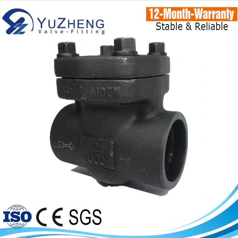 Forged Steel Industrial Use150-800lb A182 ASTM Check Valve