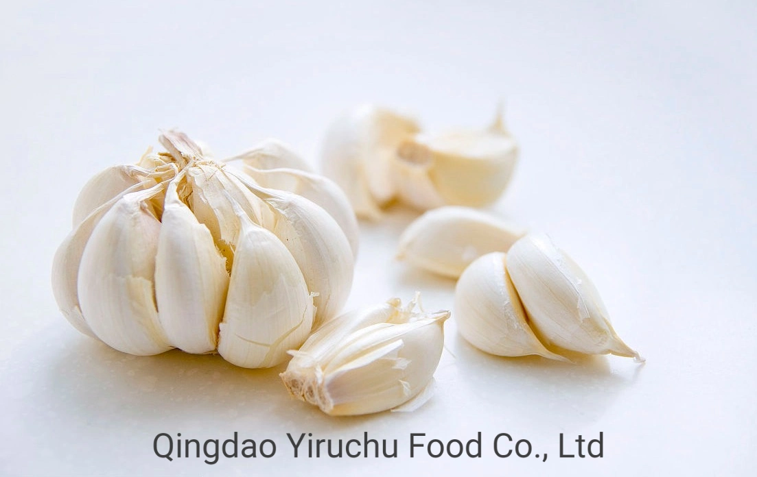 Price Concessions/Direct Supply From The Origin/Fresh Garlic/Frozen Garlic/Dry Garlic